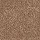 Mohawk Carpet: Tender Moment II Wheat